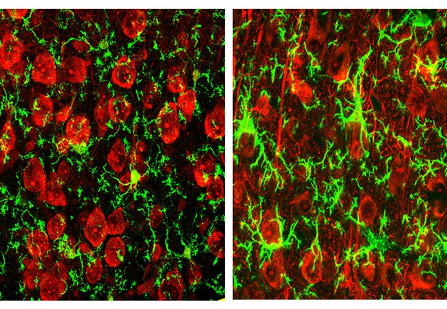 CleClinicMD tweet picture