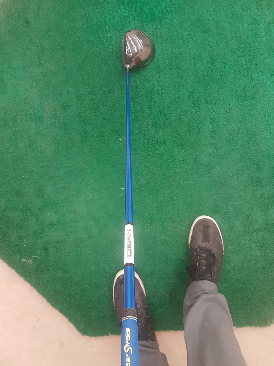 Kasey Timms tweet media