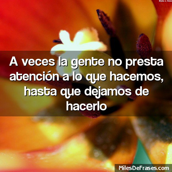 De Todo (@pongodetodo) on Twitter photo 