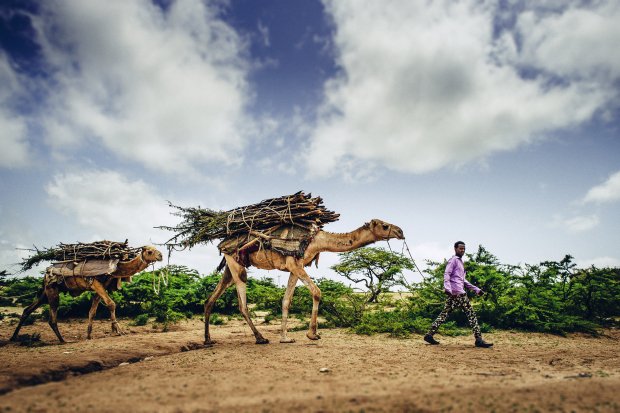 ProsperGlb_org's tweet photo. Investment in #resilience can help improve lives during recurrent crises, like #drought. Here's how: https://t.co/HiByU0DElZ https://t.co/lMPsUjF7R2