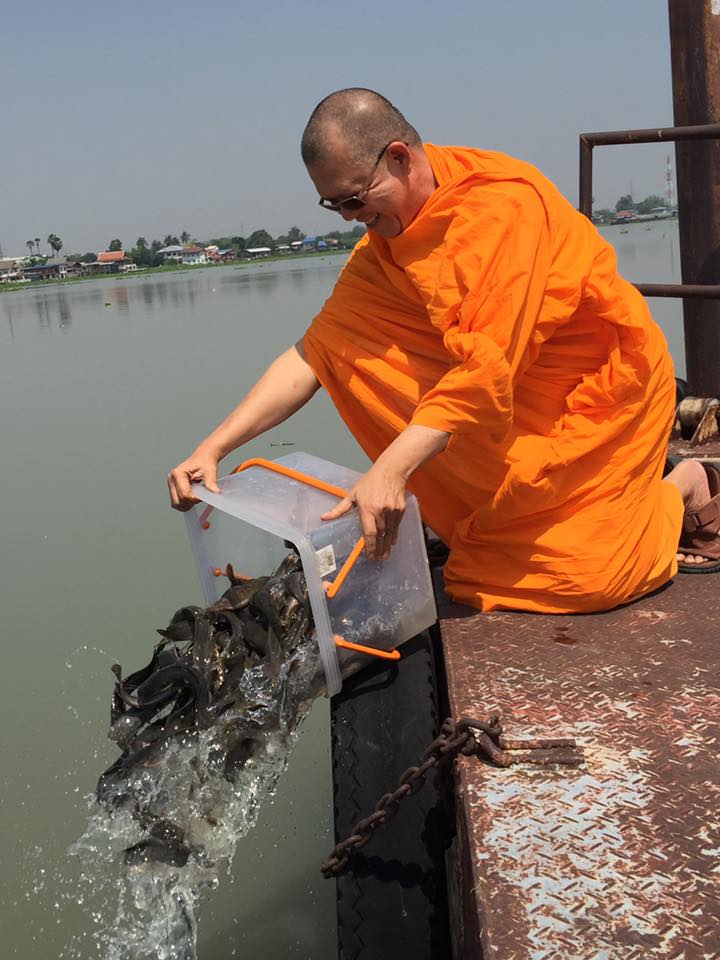 noppadon_dmc's tweet photo. "การปล่อยเข้าสู่สภาพแวดล้อมที่ไม่เหมาะสมกับธรรมชาติสัตว์ ทำให้สัตว์ตายเป็นส��วนใหญ่" แต่ #อาตมามิจําเป็นต้องสนหีสนแตดใดๆ 
#ธรรมกาย #พระนพดล https://t.co/RGpDiLG01j