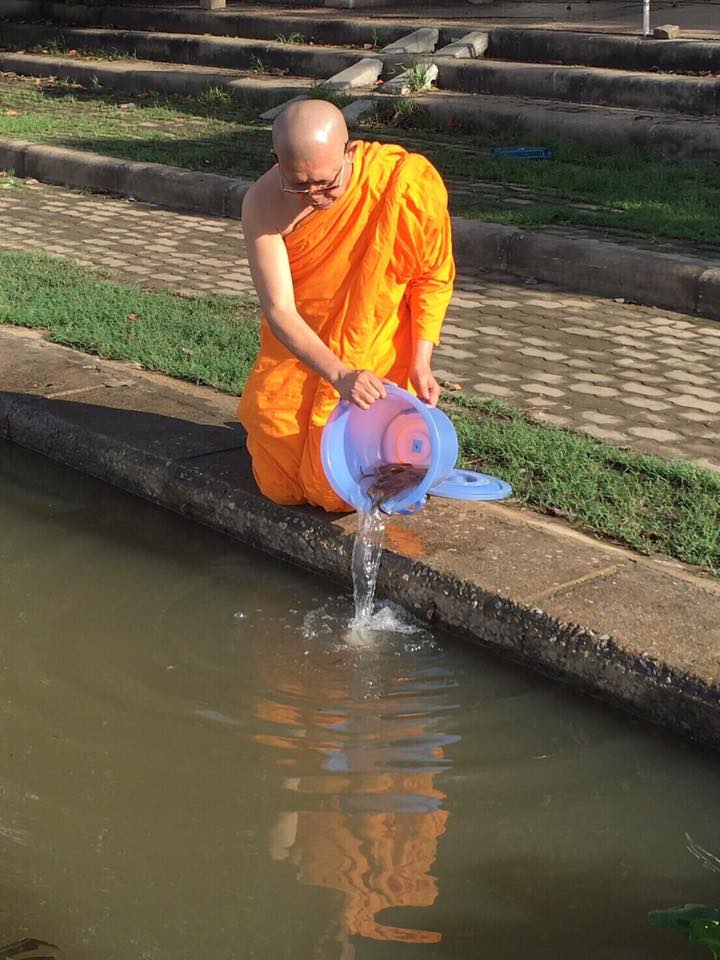 noppadon_dmc's tweet photo. "การปล่อยเข้าสู่สภาพแวดล้อมที่ไม่เหมาะสมกับธรรมชาติสัตว์ ทำให้สัตว์ตายเป็นส��วนใหญ่" แต่ #อาตมามิจําเป็นต้องสนหีสนแตดใดๆ 
#ธรรมกาย #พระนพดล https://t.co/RGpDiLG01j