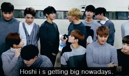 HoshiWorld's tweet image. I WANT TO SEE TOO WTH