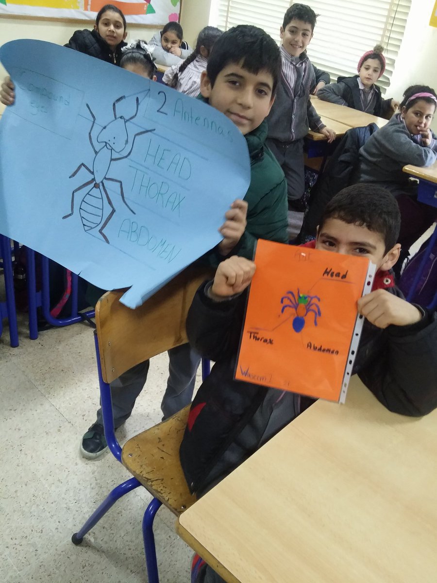 d_sohad's tweet photo. This is when we integrate science and art. #insects #body_part #fun #art
@MakAishaSchool https://t.co/EjhEYx5g1Y