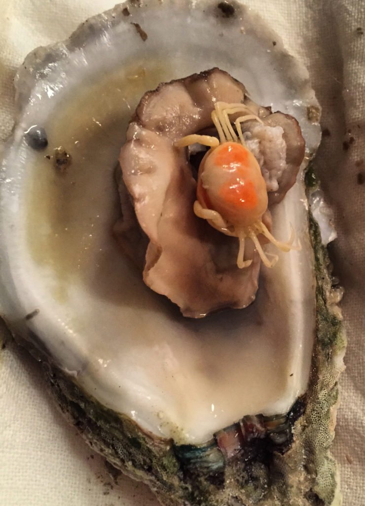 So you wrenched open a fresh, local oyster and out peeked an orange crab the size of a small house spider. bit.ly/2kcO5x7