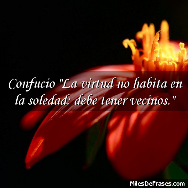 De Todo (@pongodetodo) on Twitter photo 
