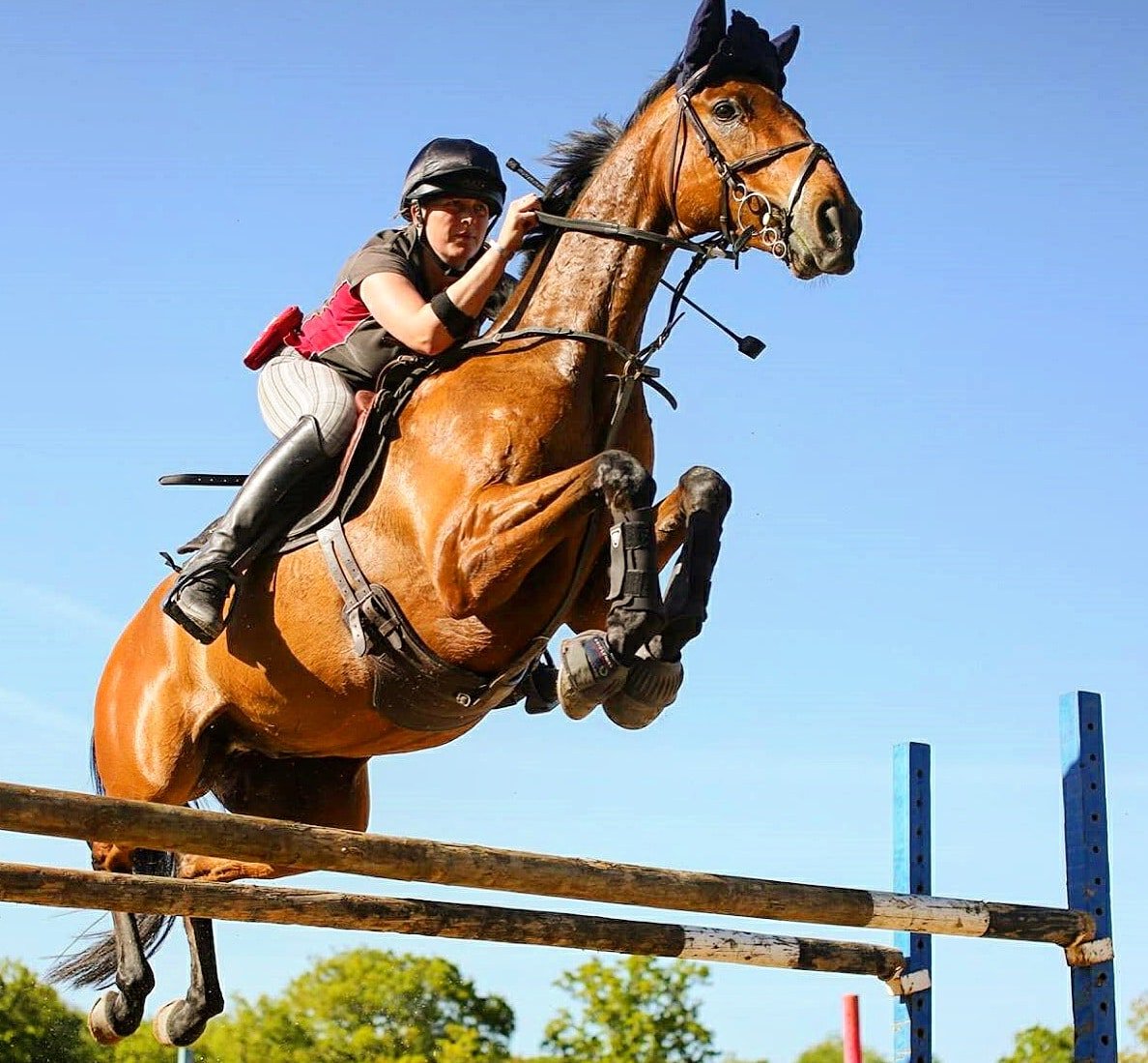 Acousticspectru's tweet image. How do you get more views for your #Clickasnap photos? bit.ly/2kQRfKA