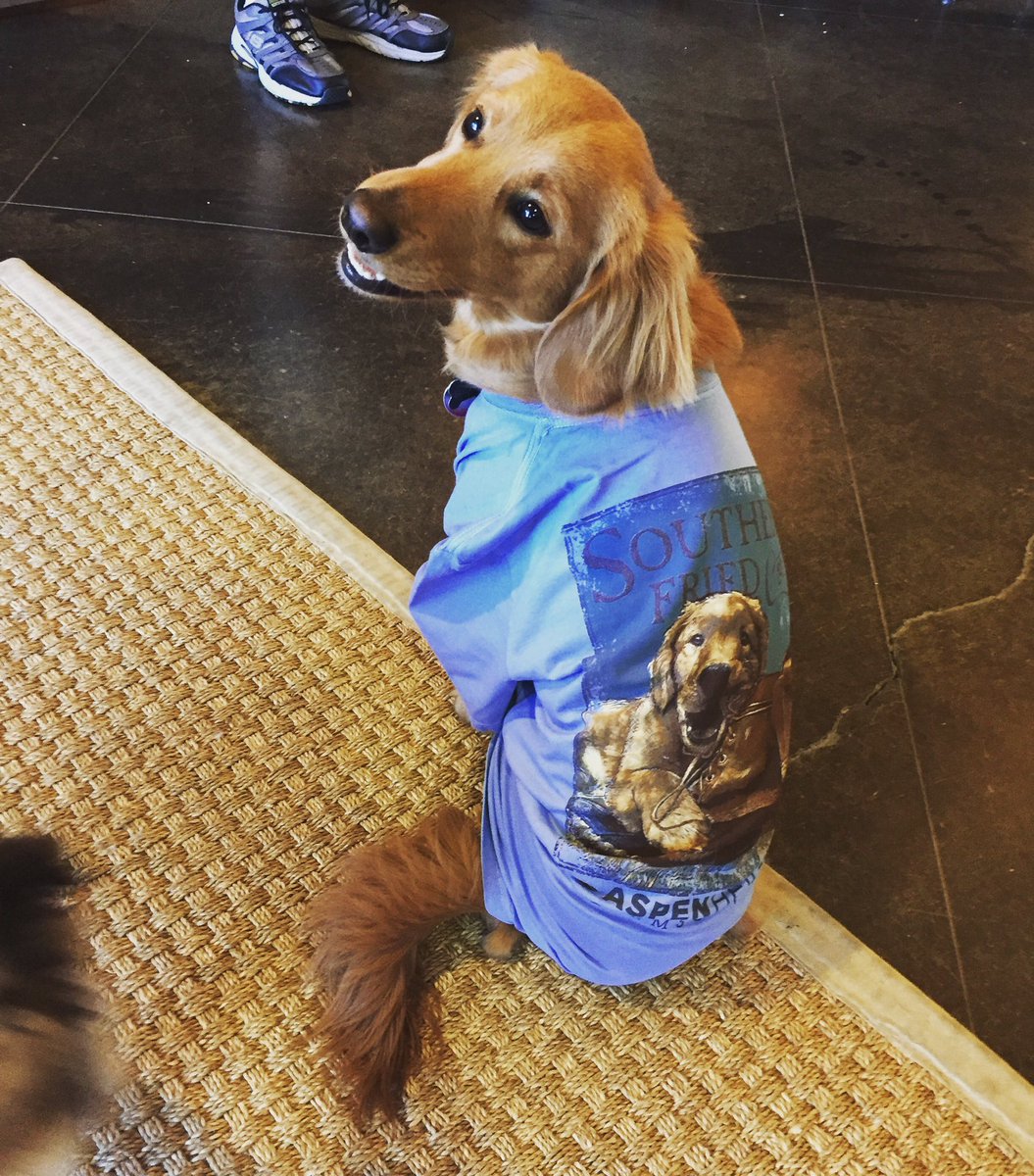 collective_cu's tweet photo. We're giving away something CUTE on our Insta page so head over now and check it out! 👀#FreezeTagFriday https://t.co/wnCBahe2vI
