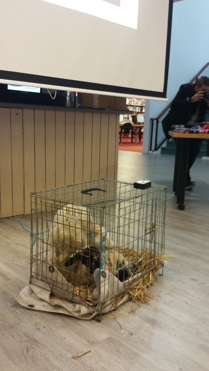 JaccoKnape's tweet photo. Mooie bijeenkomst in @obkatwijk over energiebesparing @Warmetruiendag met @colignyschool @NatuurKatwijk. Ook schaapherder Thomas was erbij https://t.co/T8X9xXwXZs
