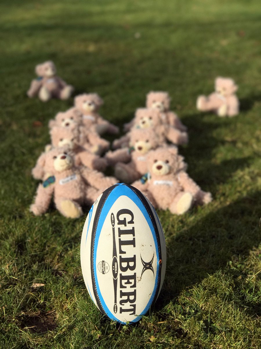 Baxterbearsays's tweet photo. Line out time! Good luck to all the teams. #Treekled #baxterbear #RBS6Nations @Scotlandteam @EnglandRugby @ireland_rugby @WelshRugbyUnion https://t.co/Ic7MACZpqT