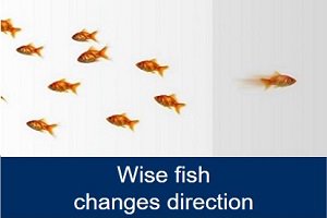 ChangeDirectApS's tweet photo. Hvordan kan vi fange fisk i det samme vand?
https://t.co/22cmbVDWYs
#jobsdk #dkjobs #arbejdsmarked https://t.co/wIru5RTpsJ