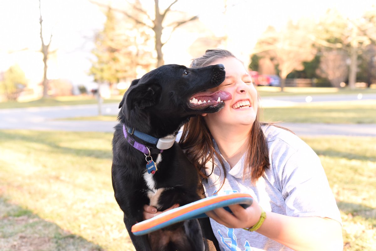 Karnold206's tweet image. Joy at its purest.