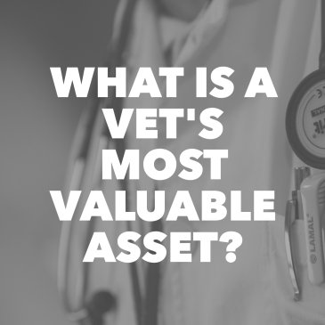 vetpolcommunity's tweet image. What is a Vet’s Most Valuable asset? #Blogs here on Vetpol : buff.ly/2jKbabP #veterinary #practice