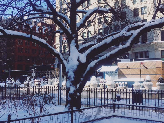 ilili Box tweet media