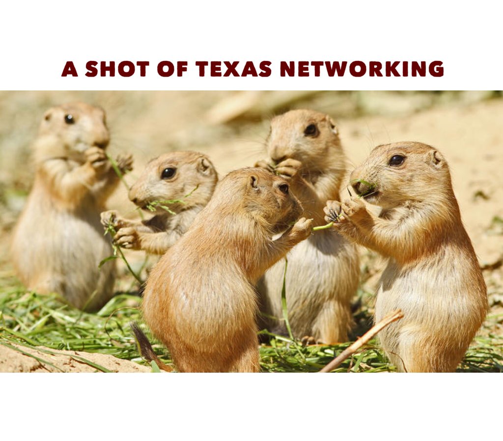 AShotofTexas's tweet photo. Don't forget all we have to offer at A Shot of Texas Ranch! Contact Kendall Rae Kahn, Event Planner. Camogirl@ashotoftexas.net https://t.co/66XIWa06br
