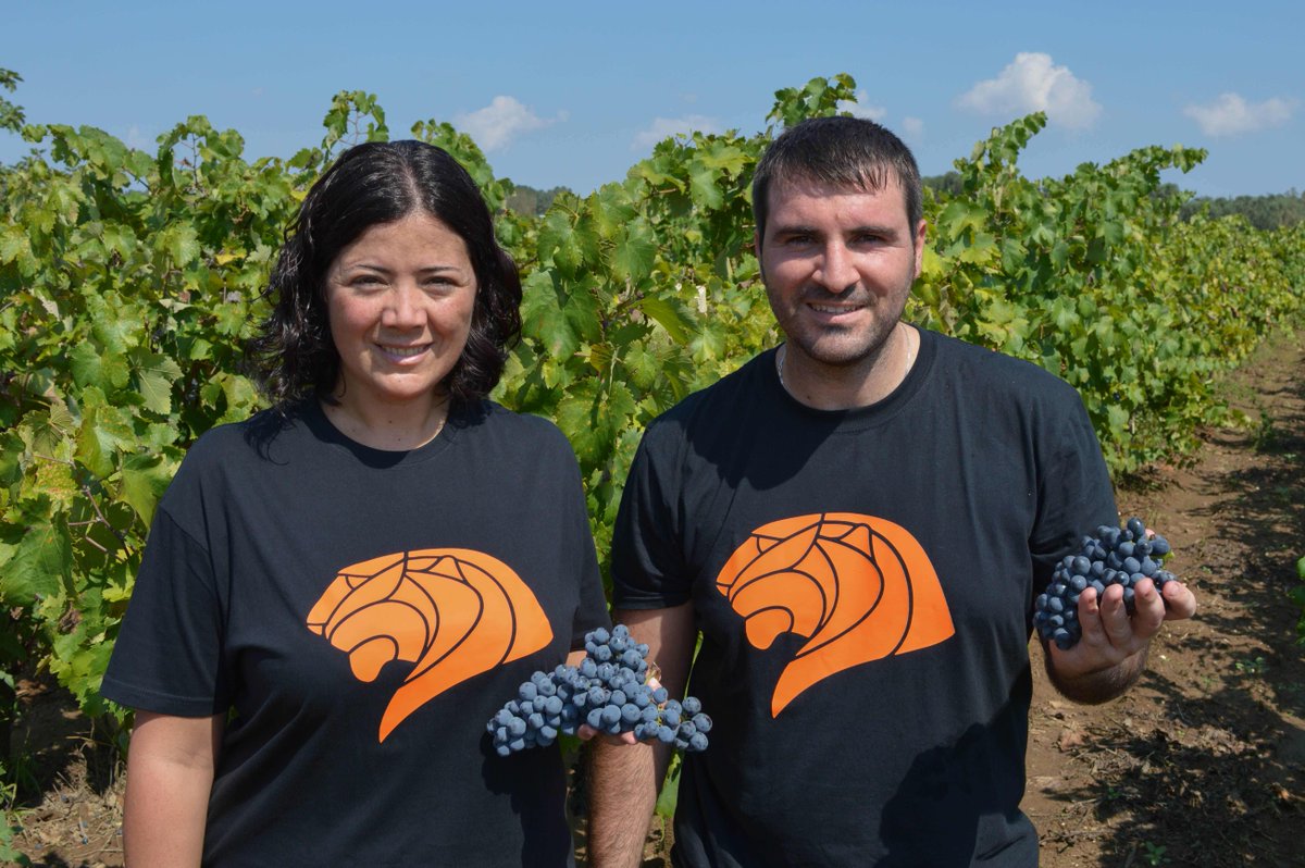 cultoridelvino's tweet photo. Is it hard to open a winery in South Italy? Read our story to find out @VinoTravels21  https://t.co/uqXr1NPGDB #wine #startup #vineyards https://t.co/x4uAfndcmd