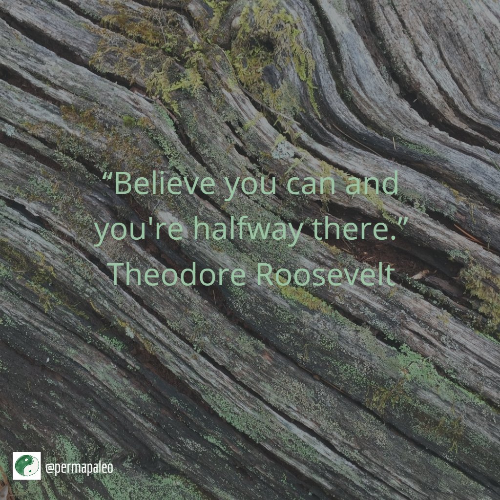 MyRaleighGarage's tweet photo. #thoughtfortheday #inspiration #permapaleo https://t.co/39Fijj4XpB