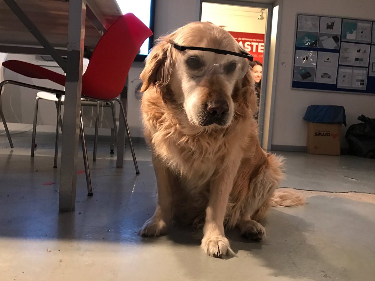 anilcici's tweet photo. Safety First 🐶 🛠 @FIRSTweets @FRC_Integra3646 @AdroitAndroids @nycfirst https://t.co/u3gQbGn2Gh