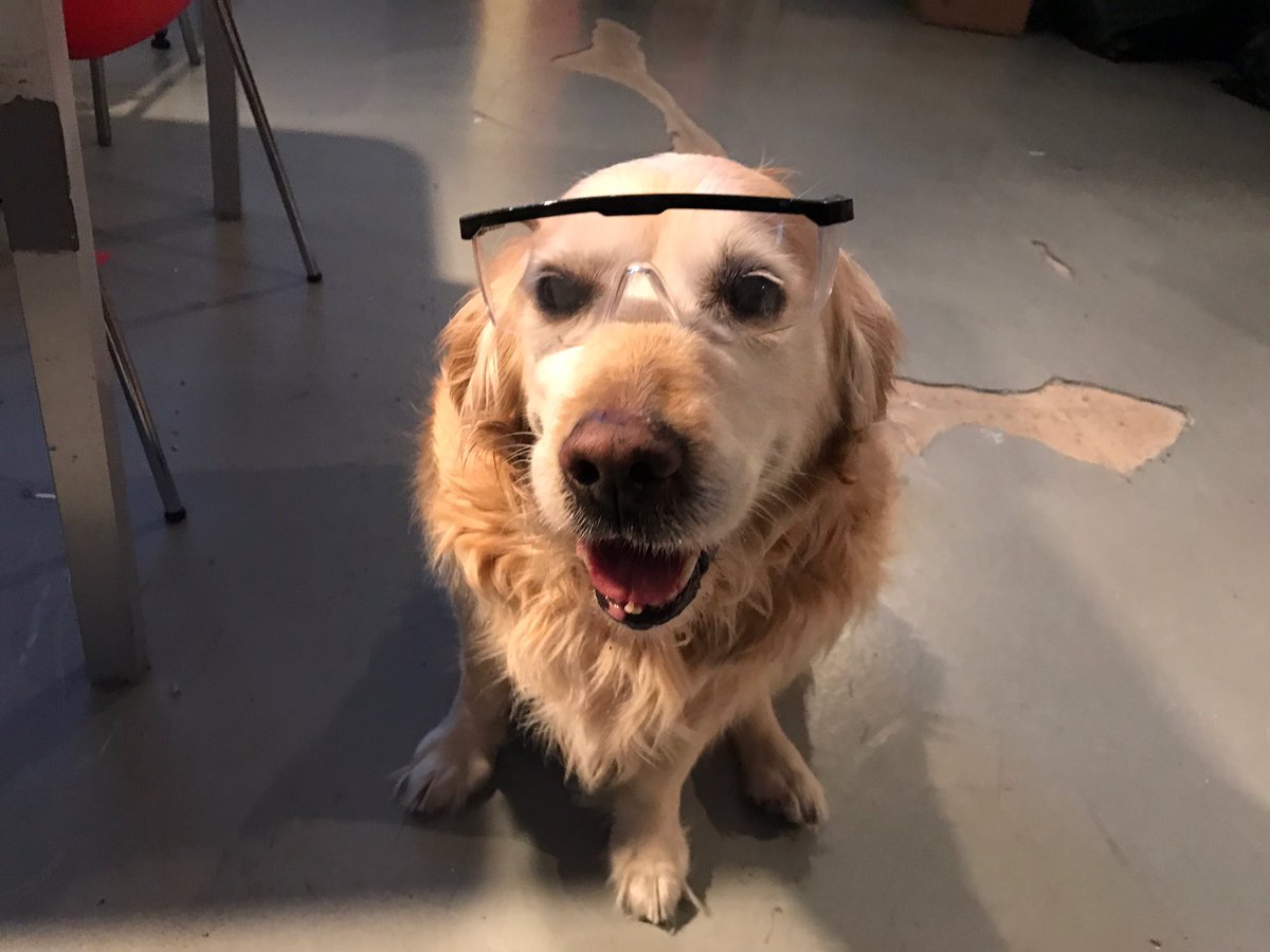 Safety First 🐶 🛠 <a href="/FIRSTweets/">FIRST</a> <a href="/FRC_Integra3646/">BAHCESEHIR INTEGRA - 3646</a> <a href="/AdroitAndroids/">6025 Adroit Androids</a> <a href="/nycfirst/">NYC FIRST</a>