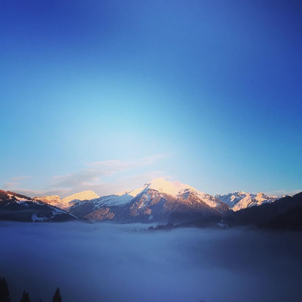 Ferme_Les_Bouts's tweet photo. #Cloudcarpet. Stunning views from the balcony this afternoon. #fermelesbouts #lovemorzine … https://t.co/JJTfV3dkMY https://t.co/NwkZ6SfnBy