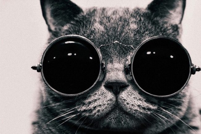 Il retail è pronto per la Realtà Aumentata blog.whataspace.it/2017/02/10/il-…