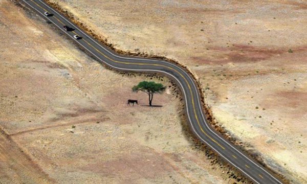 15 Ejemplos de cómo hay que convivir con la naturaleza bit.ly/2hGIpLv