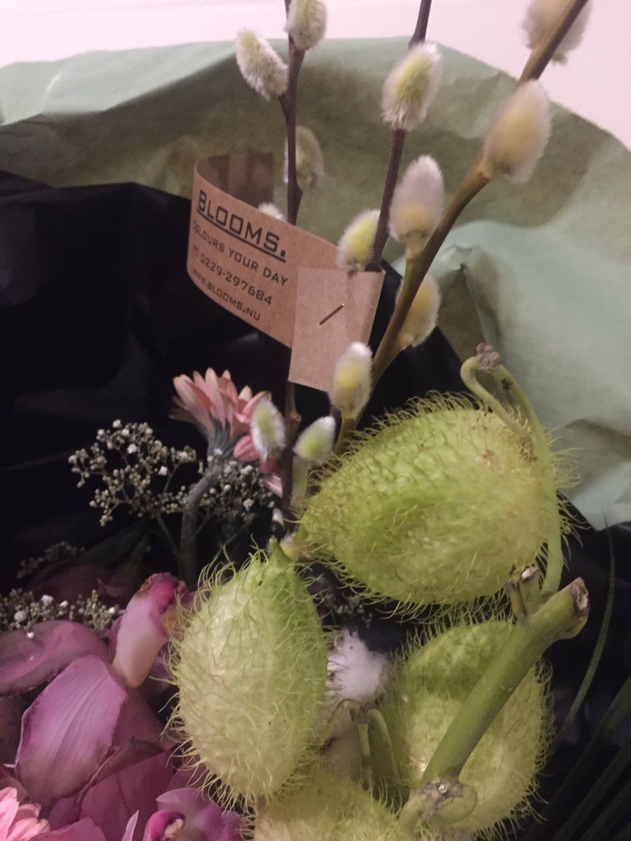 En als nazorg nog een prachtig boeket ontvangen van <a href="/Ondernemersgala/">Ondernemersgala WF</a> van @bloomshoorn #nagenieten #wfgala