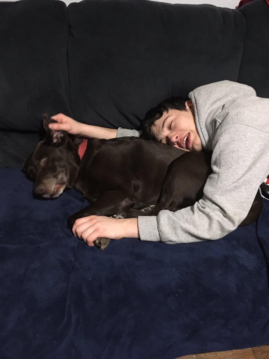 RubyFrat's tweet photo. We made it through mid-terms - halfway to spring break! Also, Cheryl is making brunch! #frathousefriday #rubythefratdog #GoBeavs https://t.co/OUVJjAbVDZ