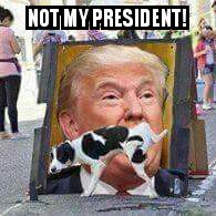 george_rohmeyer's tweet photo. @realDonaldTrump https://t.co/rOkX8SsfrC