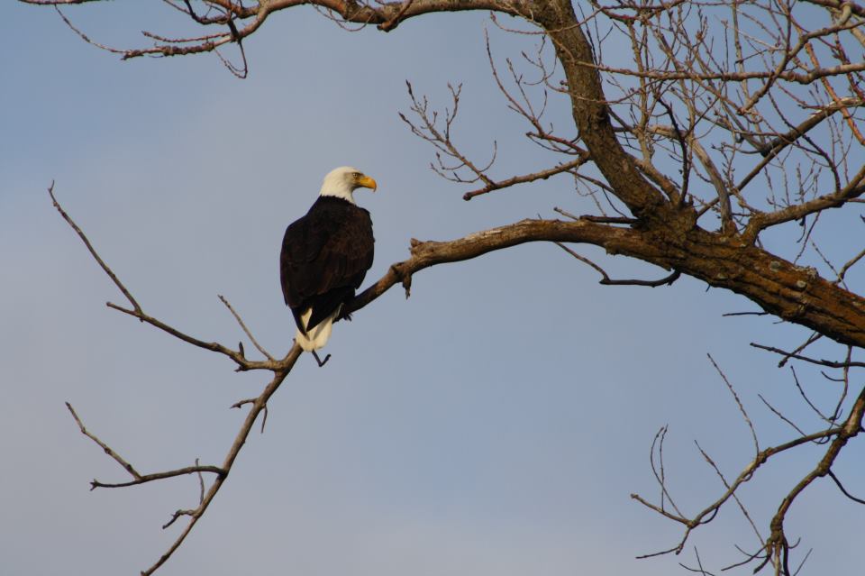 NEOutdoorGuy's tweet photo. Get out and enjoy nature during this nice stretch of weather in Nebraska! #EnjoyNiceWeather #NebraskaNature #GoOutside https://t.co/IsXU2ha9CM