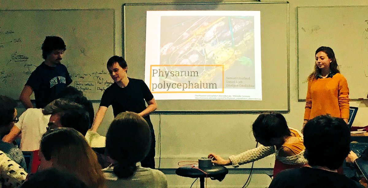 BiosensorsFDV's tweet image. final #biosensorsFDV project of @Fisarumo tackles Physarum slime mold response to light