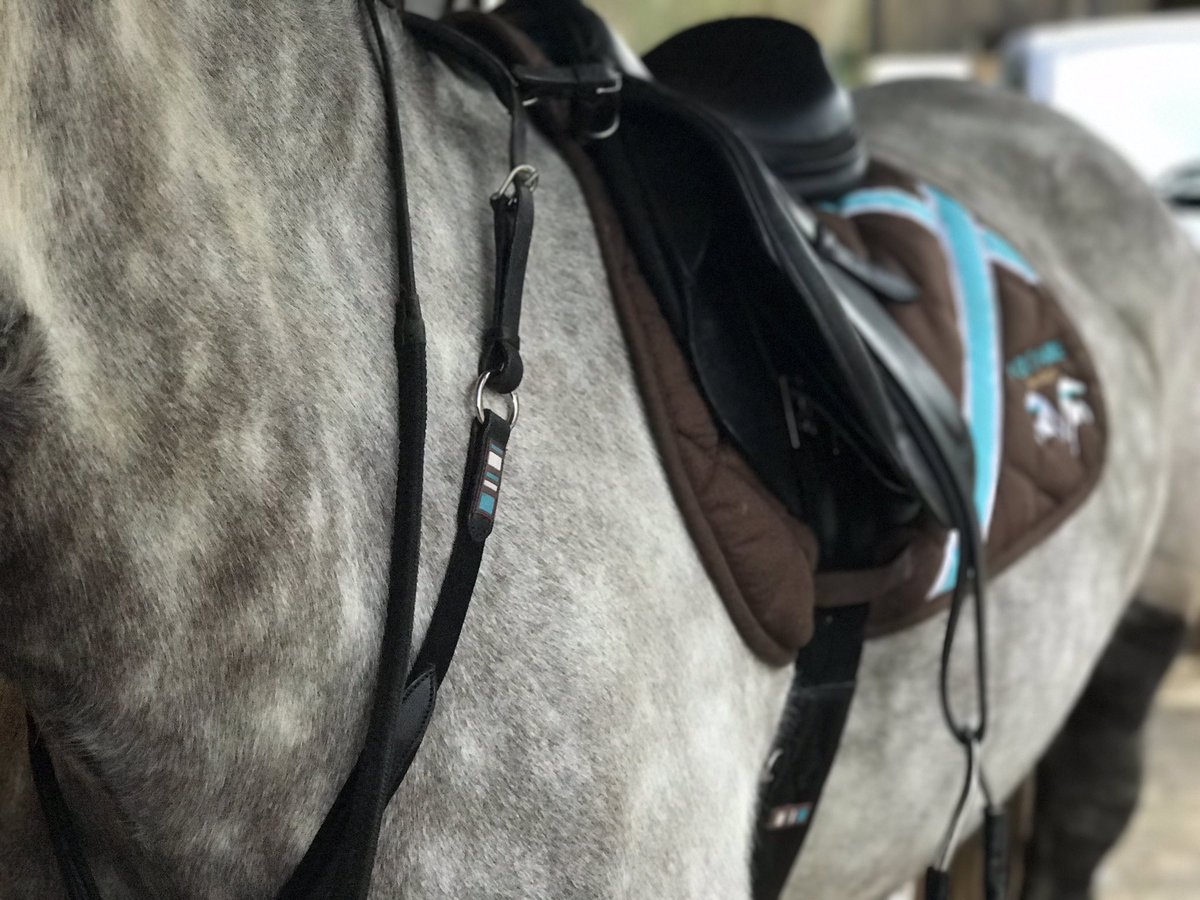 EquineHour's tweet photo. PLEASE RT!
Novice or Intermediate Event Horse wanted for lease or loan. Good cross country record. Bold and confident jumper. #EquineHour https://t.co/SfCj7mM3Ah