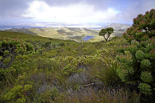 Business Day tweet media