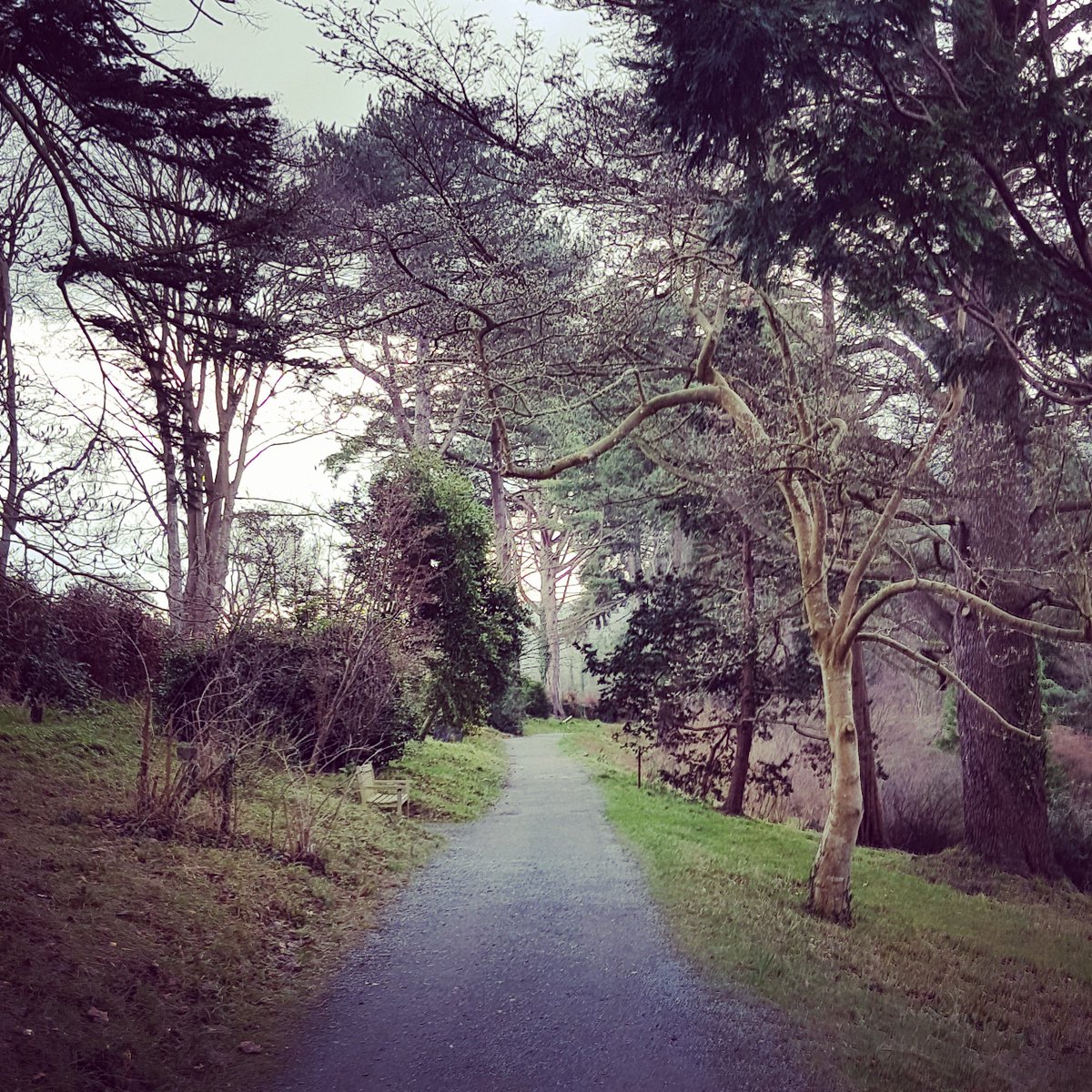 AllyOwen's tweet photo. Will be back again @nationaltrust @NTWales @BodnantGardenNT. Stunning place and well worth a visit! #ntmembers #nationaltrust https://t.co/XRjpZCKlo8