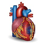 CLEHeartLab's tweet photo. Find out about some of the newest tests that Cleveland HeartLab has to offer. https://t.co/whd4H23akK #TMAO #PULSTest https://t.co/0fIi4HyHN0