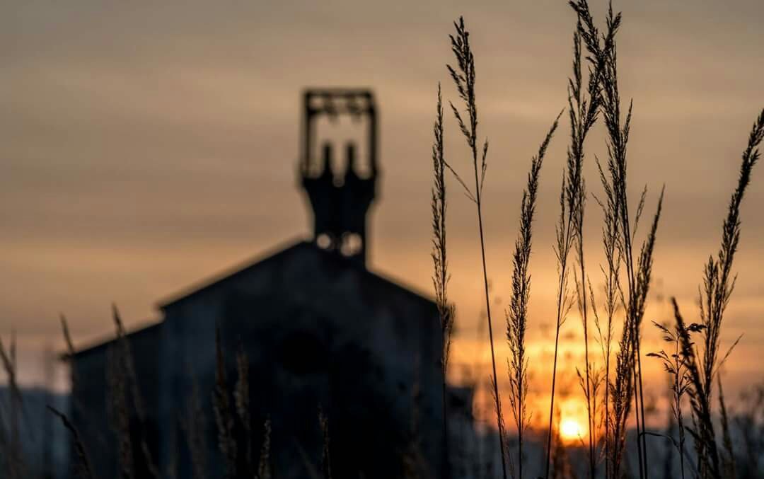 Dominique Lang 🆑 tweet media