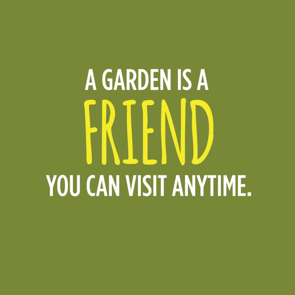OrganicLifeMag's tweet photo. https://t.co/6NIPM7fcxW