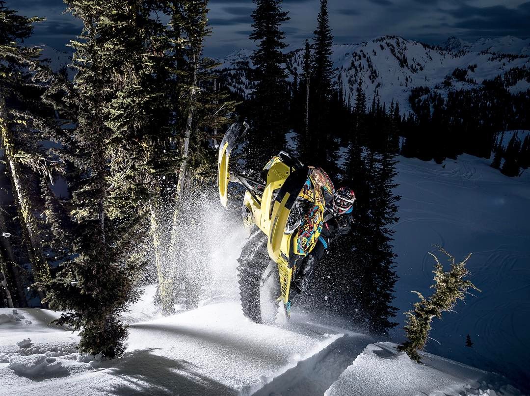 Brain Farm tweet media