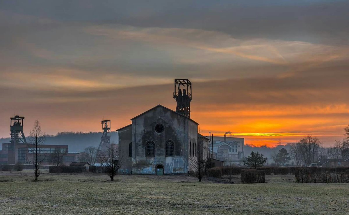 Dominique Lang 🆑 tweet media