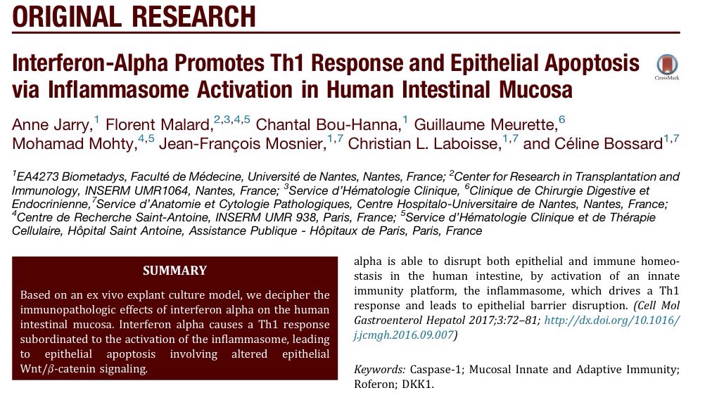 cllaboisse's tweet photo. #intestinal #inflammation #inflammasome #explantculture #interferonalpha #invitroavatar https://t.co/Tfaxdh63ya