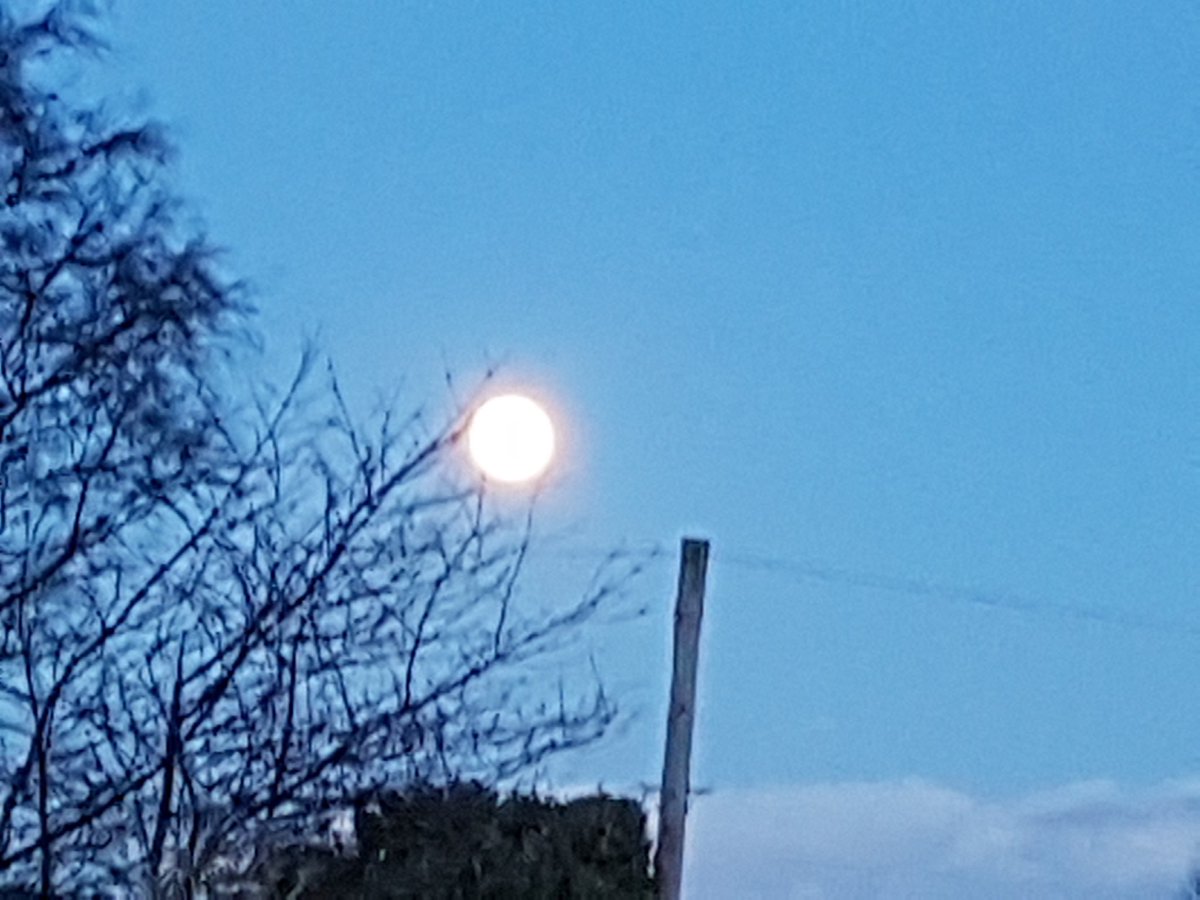 EMusselle's tweet photo. Not the sun but the moon...falling from a winter sky to the Black Isle #Highlandsky https://t.co/LIkDC3Bgm3