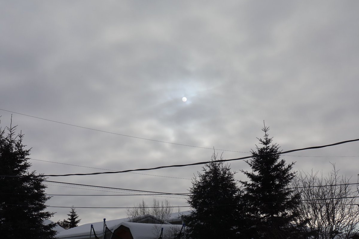 HindAbuelgasim's tweet image. Lights Low 🎶🙌🏾☁️ #musicphotography #applemusic #workthemiddle #alexaiono #pop #sun #canada #canon #5dmarkiv #nofilter #photography :)))