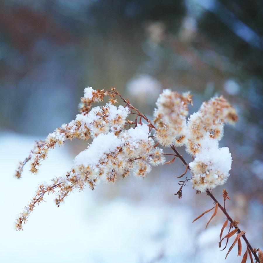 Shows on historic stages and food prepared by our neighbors. #explorelc #explorelickingcounty eepurl.com/cBmWqX