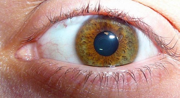 Los colores de ojos más sorprendentes del mundo bit.ly/2hXxmwJ