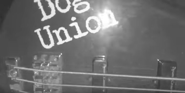 @_DogUnion releases "Disconnect"- Enjoy this powerful song and wait for more! tinyurl.com/dogunion #sotwmusic #dogunion #disconnect