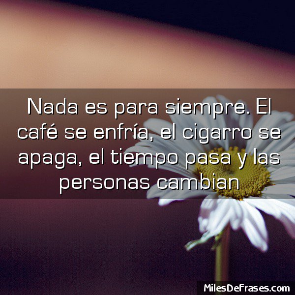De Todo (@pongodetodo) on Twitter photo 