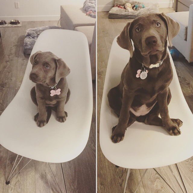 ✦❃Advanced Life❃✦ tweet media