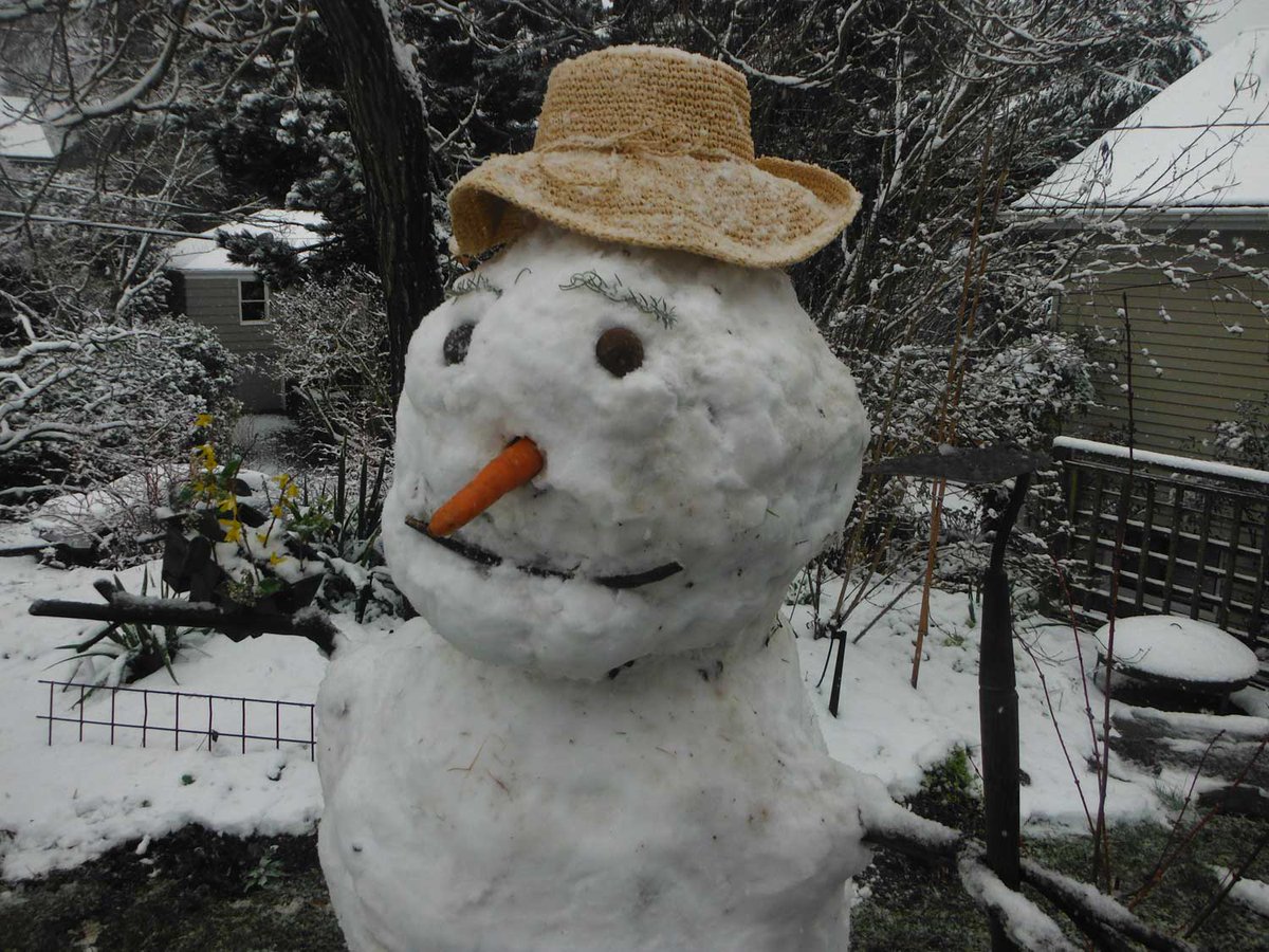 Which fabulous old tomato varieties do well in Puget Sound? 
goo.gl/1emlh5 Join us as the Growing Groceries series!!