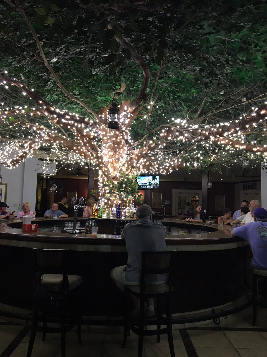 deedie2010's tweet photo. Loving Jamaica. #thetreebar https://t.co/5buORGJEgv