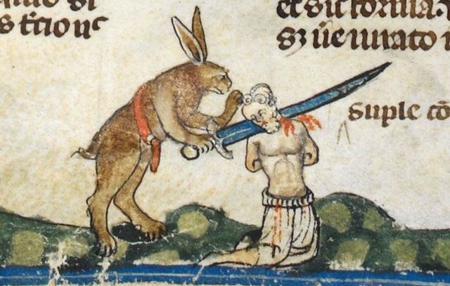 flashember's tweet image. [After the rabbit uprising]

DAY 1: aww they like to wear our belts

DAY 2: aww they&apos;re sword aficionados

DAY 3: